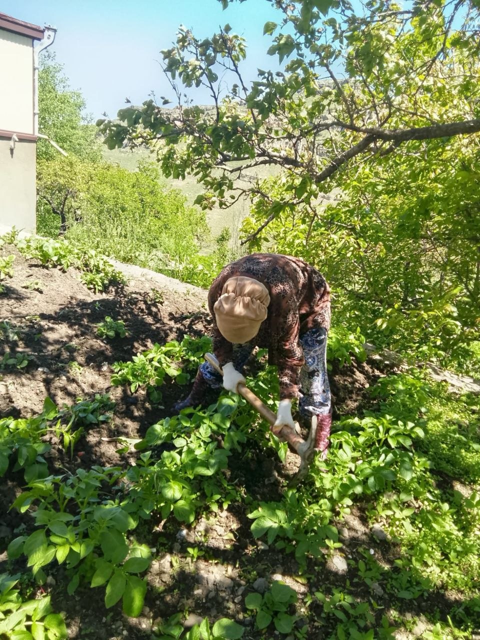 Кадры рабочего дня социального работника КЦСОН Лакского района — Омаевой Анжелы